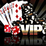 VIP Casinos USA